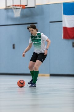 Bild 251 - F Loewinnen Hallen Cup